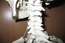 Exercise for cervical spine