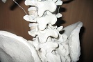 Exercises for lumbar spine 